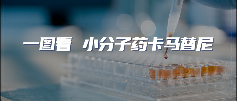 新药研发｜一图看 小分子药卡马替尼